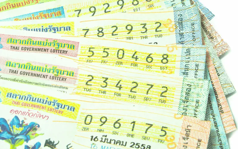 lottery in Punjab