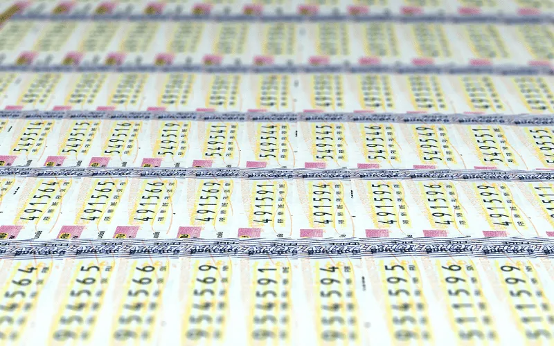 lottery in Punjab